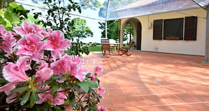 Villa in a fairytale little wood