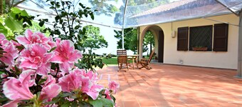 Villa in a fairytale little wood