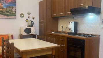 A compact kitchen with wooden cabinets, a gas stove, a microwave, and a sink.