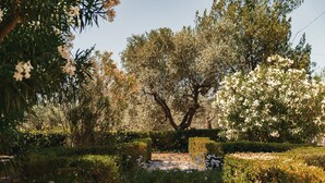 A garden with a stone pathway, neatly trimmed hedges, and flowering trees.