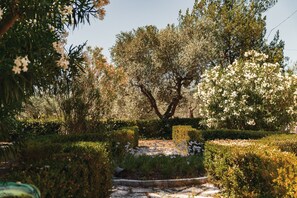 Jardines del alojamiento