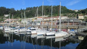 Un port esportiu amb diversos velers amarrats, envoltat d'edificis residencials i vegetació.