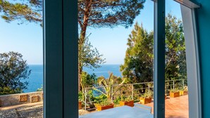 A view from a window overlooking a patio with a table and chairs, a railing, and a variety of plants. - Beautiful villa overlooking the beach of Seccione (PORTOFERRAIO)