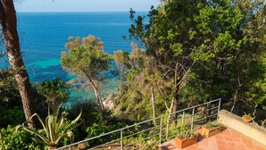 A terraced garden with a railing, overlooking a coastal area with clear blue waters and dense greenery. - Beautiful villa overlooking the beach of Seccione (PORTOFERRAIO)