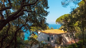 A coastal villa with a tiled roof, surrounded by lush greenery and overlooking the sea. - Beautiful villa overlooking the beach of Seccione (PORTOFERRAIO)