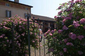 Overnattingsstedets uteområder