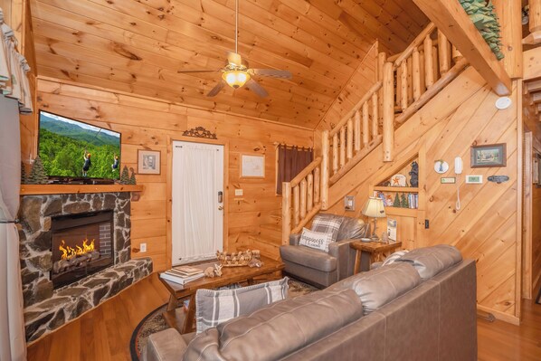 TV, fireplace, video games, DVD player