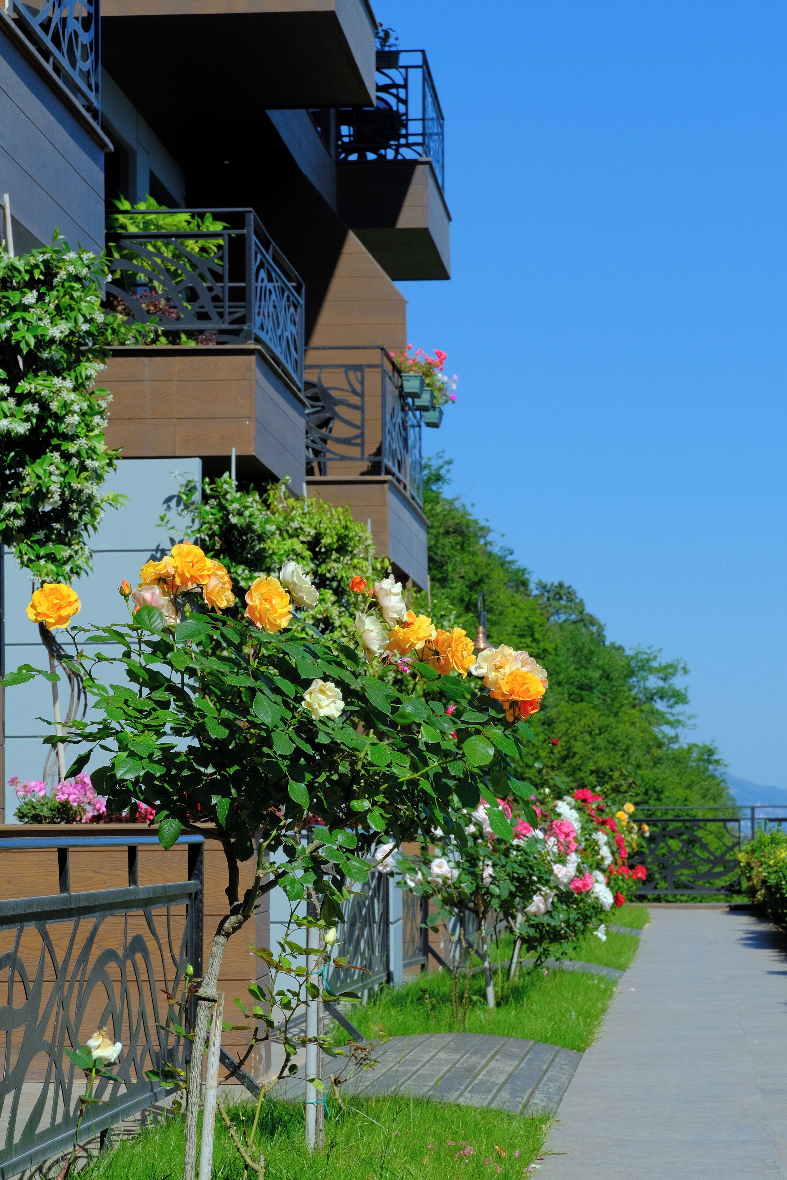 Photo - Peerless Villas Hotel