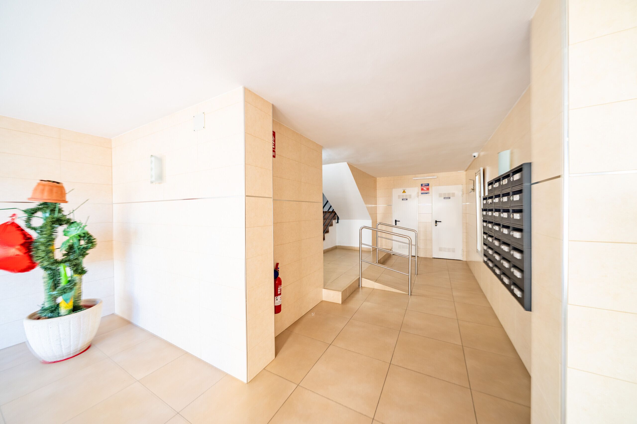 A hallway with a potted plant, a fire extinguisher, a staircase, and a wall-mounted storage unit.