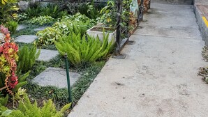 Property grounds - Polo Guest House (Polokwane)