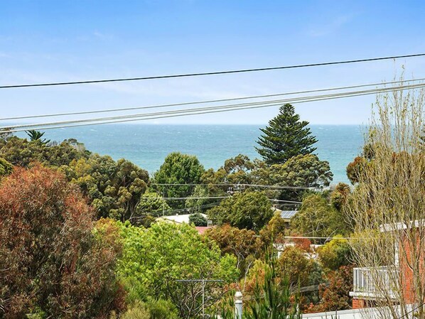 A coastal landscape with dense vegetation and a view of the sea.