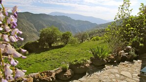 Un paysage verdoyant et luxuriant, avec un sentier de pierres qui traverse un jardin où poussent différentes plantes et arbres.