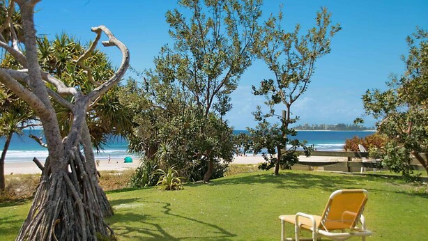 Eine Rasenfläche mit Blick auf den Strand, ein Baum und ein Stuhl.