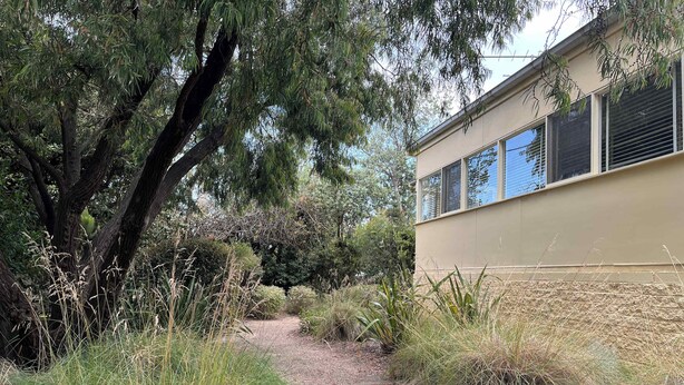 A pathway leading to a building surrounded by dense vegetation and trees. - Aireys Inlet Cottage (Aireys Inlet)