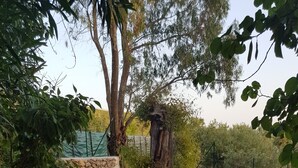 المنطقة المحيطة بالمنشأة