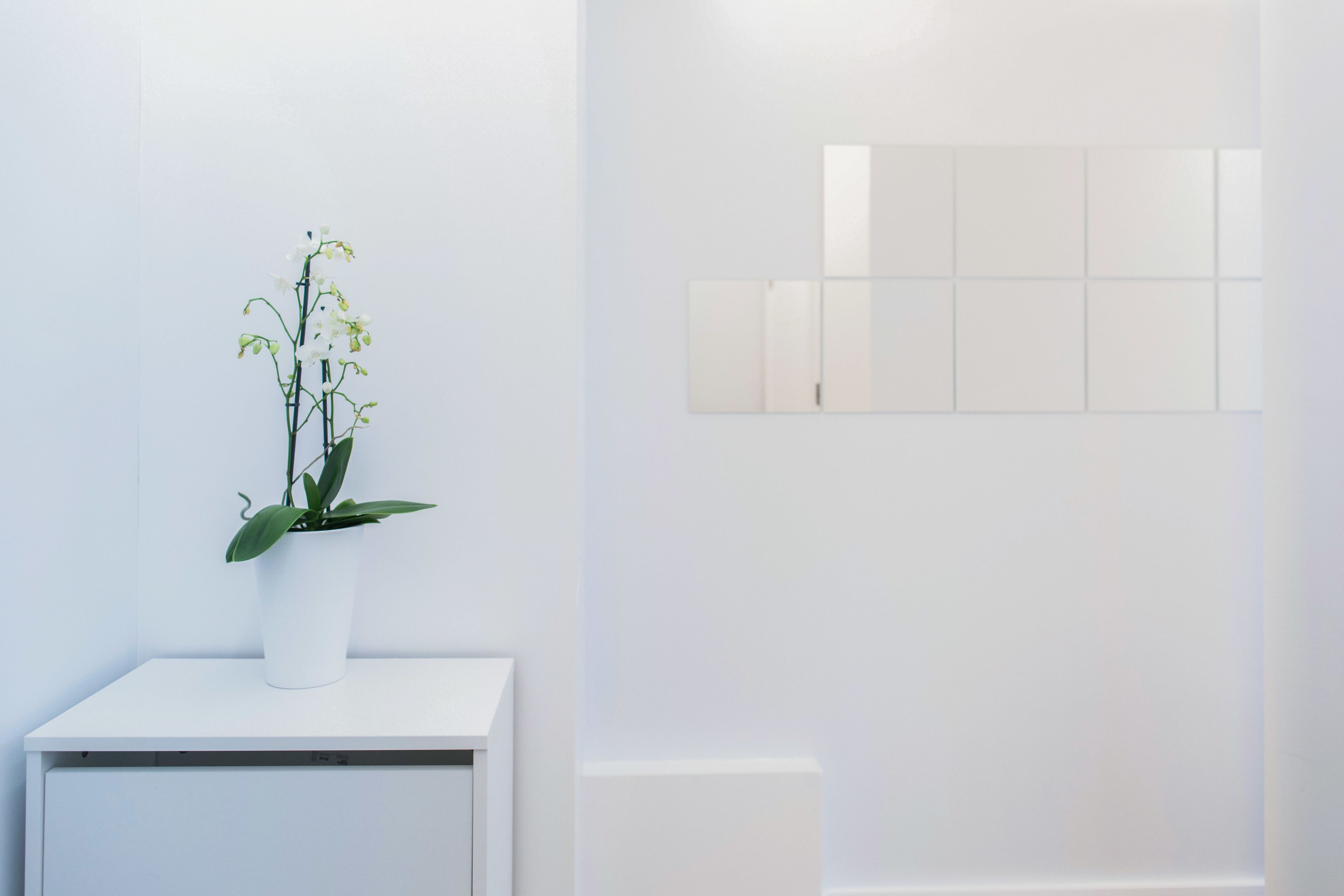 A white room with a potted orchid on a white table and a wall-mounted mirror.