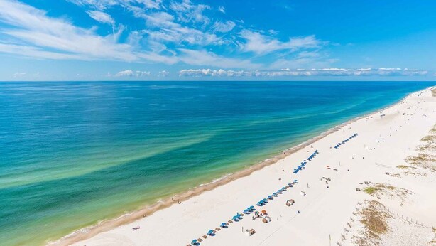 Une plage bordée d’une rangée de parasols bleus et de chaises longues, le long du rivage.