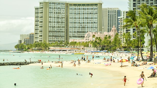 A beach with palm trees, a sandy shore, and high-rise buildings in the background. - The Best Rate Ever!! Pacific Monarch Partial Ocean View Room!! (PM04) (Honolulu)