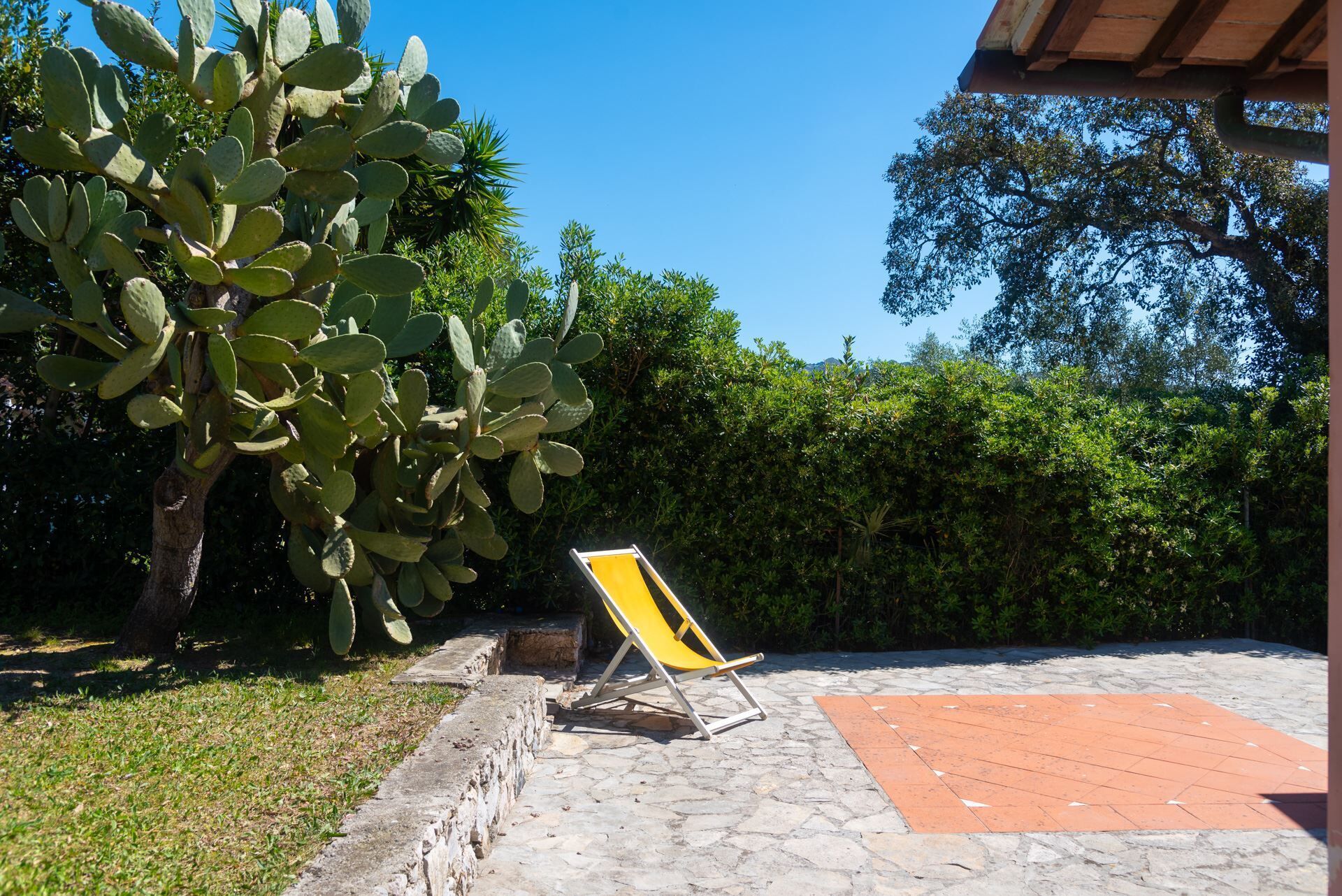 A patio with a yellow lounge chair, a cactus, and a stone pathway.