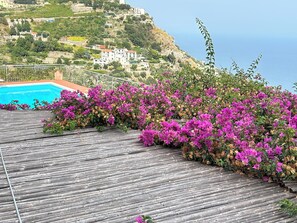 Outdoor pool - Stunning views, Space, Charm, Great Pool, Ideal Amalfi Coast location! (Furore)