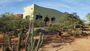 Ein gebogenes Gebäude im Wüstendesign, umgeben von Kakteen und vereinzelter Vegetation.