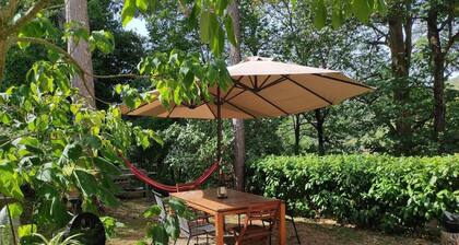 Appartement de vacances Casola Valsenio pour 1 - 6 personnes avec 2 chambres Ă coucher - ChĂąteau/chĂą