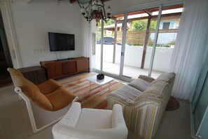 TV, lareira, DVD player, livros