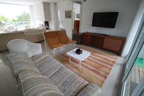 Televisión, chimenea, reproductor de DVD, libros