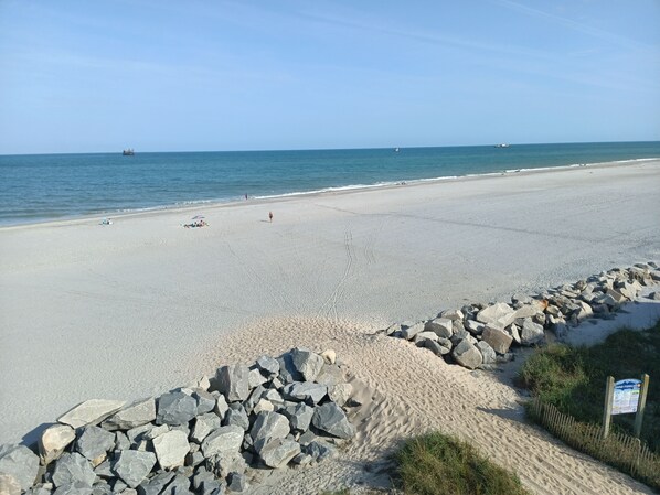 Plage, chaises longues