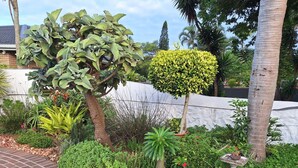 Un jardín con diversas plantas y un camino de ladrillo.