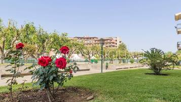 Parco della struttura