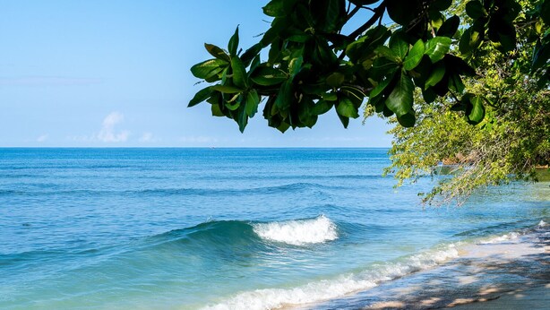 A beach with clear blue water and waves, surrounded by greenery. - Summers Dream....  your dreams become a reality. (Negril)