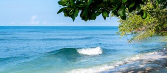 Summers Dream....  your dreams become a reality.