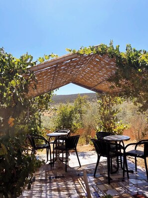 Exterior - Auberge Le Petit Jardin (Tifni)