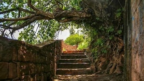 Ảnh chưa phân loại, 2 trong số 81 ảnh, nút