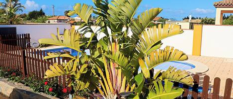 Àrea exterior de l'allotjament