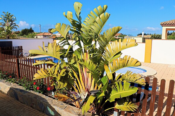 Jardines del alojamiento