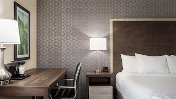 A hotel room with a bed, a desk with a lamp, a chair, a nightstand with a lamp, and a framed picture on the wall.