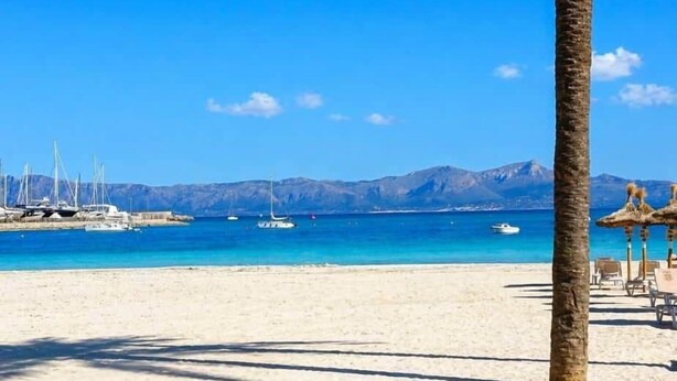 Une plage avec un ciel dégagé, un palmier et des bateaux sur l’eau.