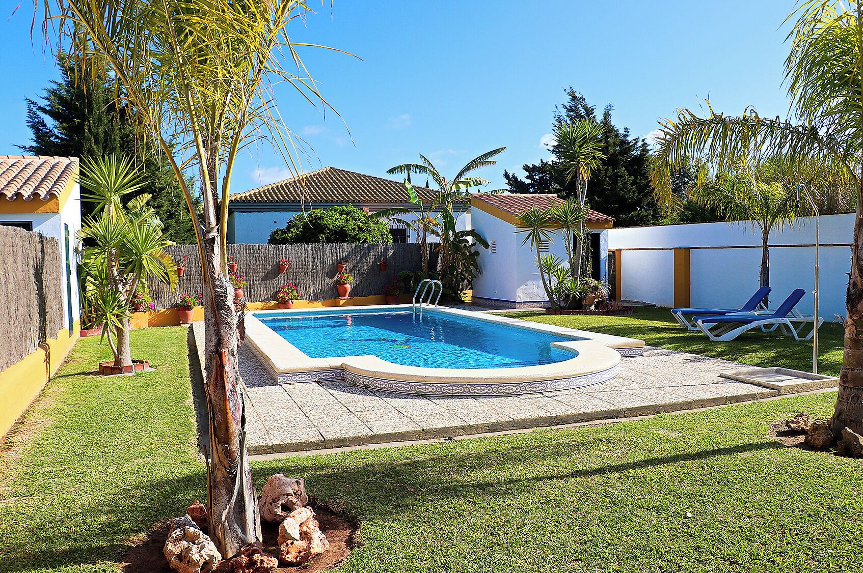 Una piscina rectangular con una solana con baldosas, rodeada por un césped cuidado y diversas plantas en macetas.