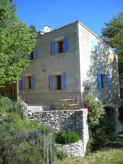 Discover Aurel Unexpected '