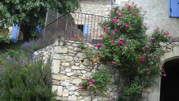Detalle del exterior