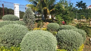 A well-maintained garden with neatly trimmed hedges, a palm tree, and a variety of other plants. - Retreat Comfortable Apartments (Falmouth)