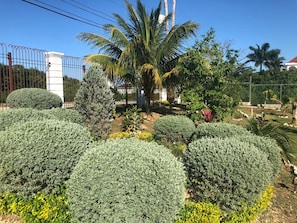 Terrace/patio - Retreat Comfortable Apartments (Falmouth)