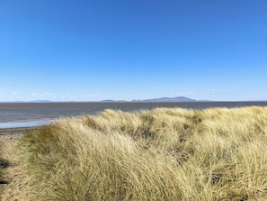 Een kustlandschap met droog gras op de voorgrond en een helderblauwe lucht.