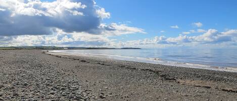 Ranta