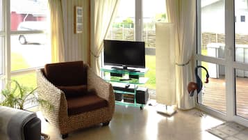 Televisio, takka, DVD-soitin, kirjoja