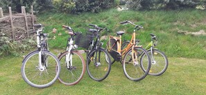 Bicycles line a serene outdoor space surrounded by lush greenery and a wooden fence.