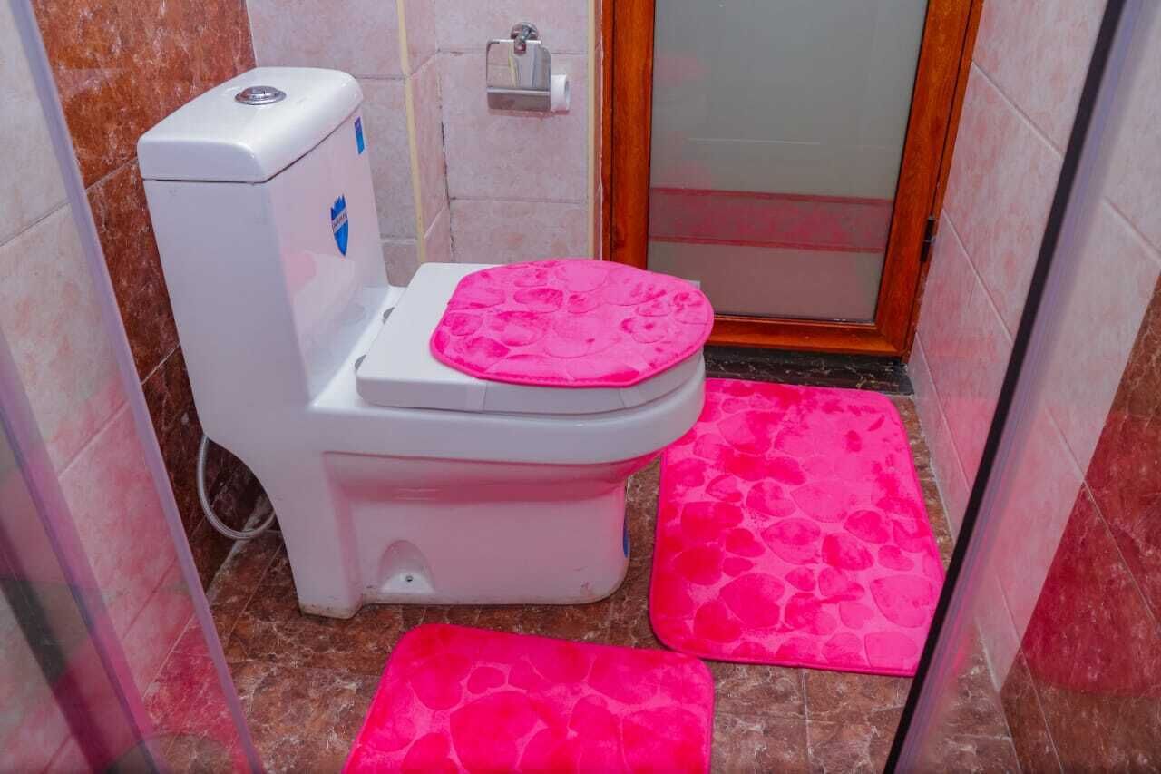 A small bathroom with a toilet, a pink mat on the floor, and a shower area.