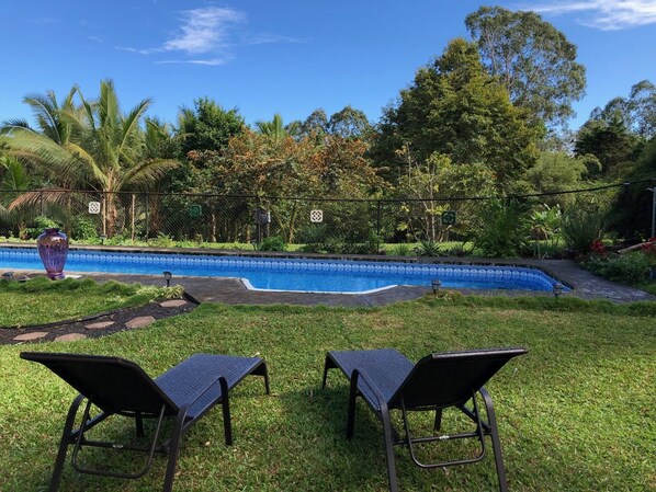 A swimming pool with a tiled edge, surrounded by lush greenery and two lounge chairs. - Spacious suite on twelve acres (HAKALAU)
